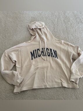 University of Michigan cropped hoodie